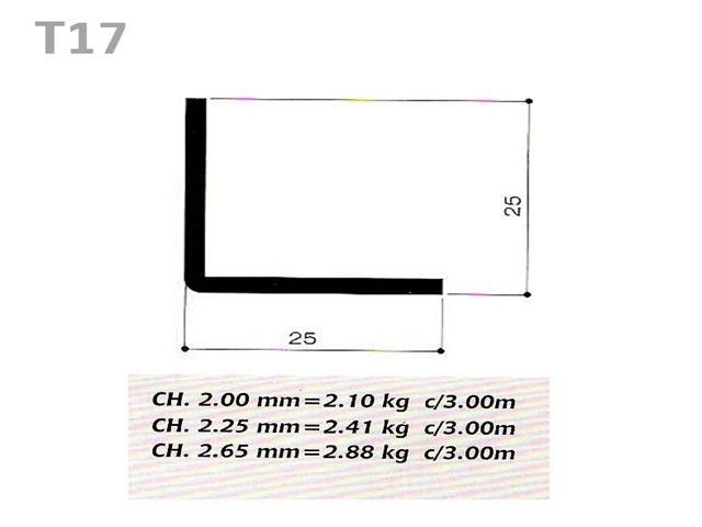 T17 Image