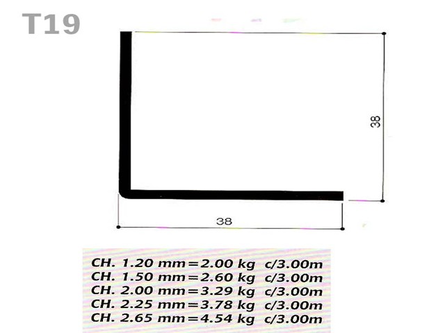 T19 Image